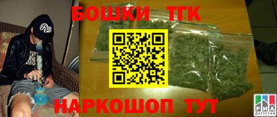 крисы Будённовск
