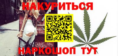 крисы Будённовск