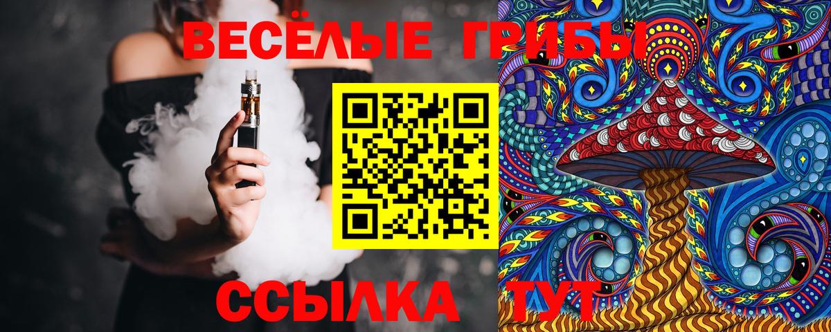Шуя  Псилоцибиновые грибы Cubensis  Вход с VPN  Псилоцибиновые грибы мухоморы 