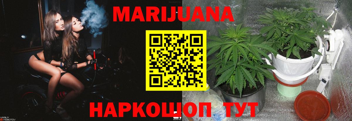 Шишки марихуана планчик  Марихуана конопля  Канабис LSD WEED  Каннабис LSD WEED  Вход с VPN  Шуя 